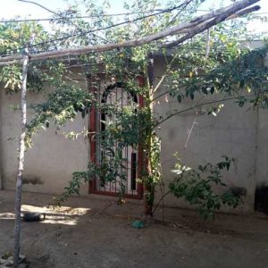 ¡ALQUILADO! Terreno con construcción en Sector Alí Primera. Anaco. Ref: 1280